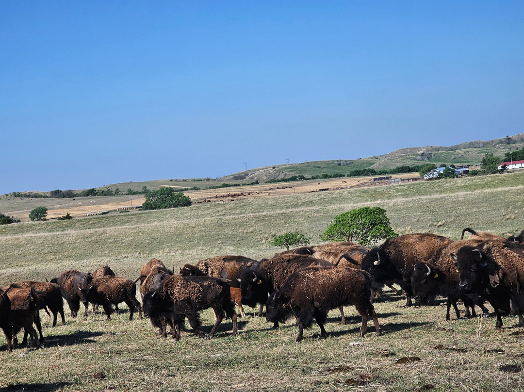 Straight Arrow Broken Bow Ne