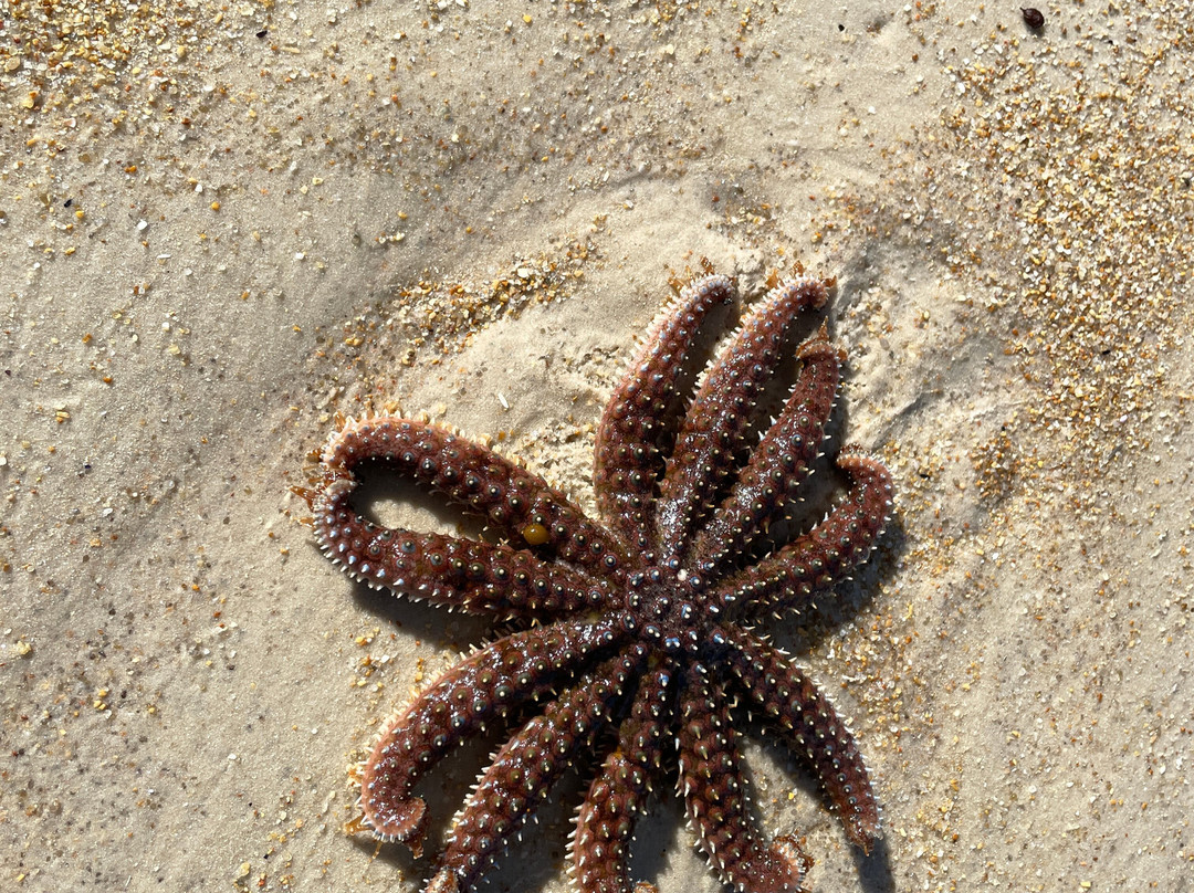 Hazards Beach景点图片
