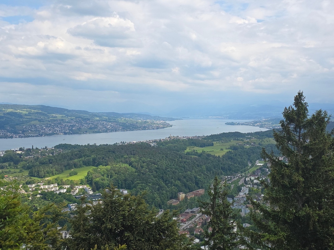 Luftseilbahn Adliswil-Felsenegg LAF-阿德利斯维尔必去景点