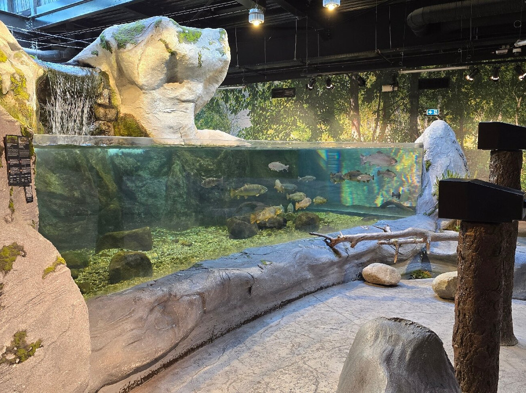 Aquarium Oniria景点图片