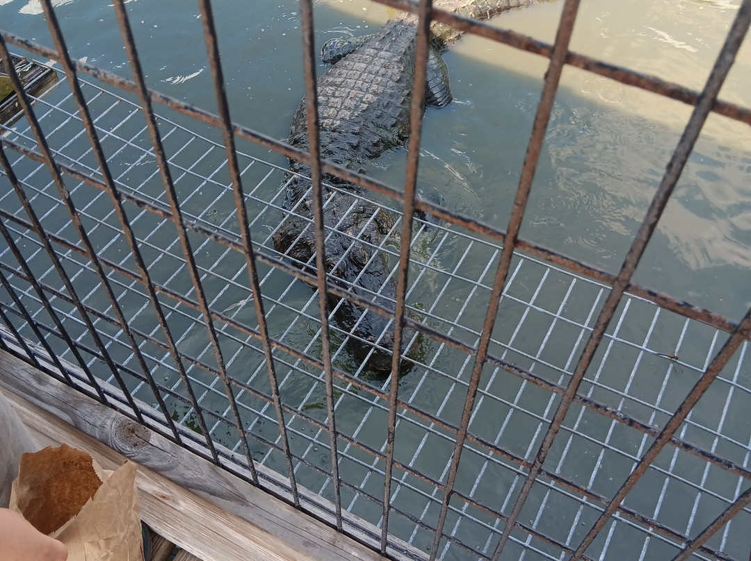 Gatorama景点图片