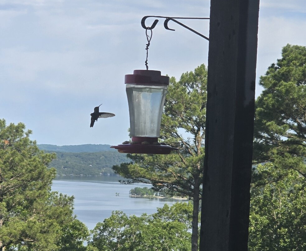 Pointe West Resort Motel主图