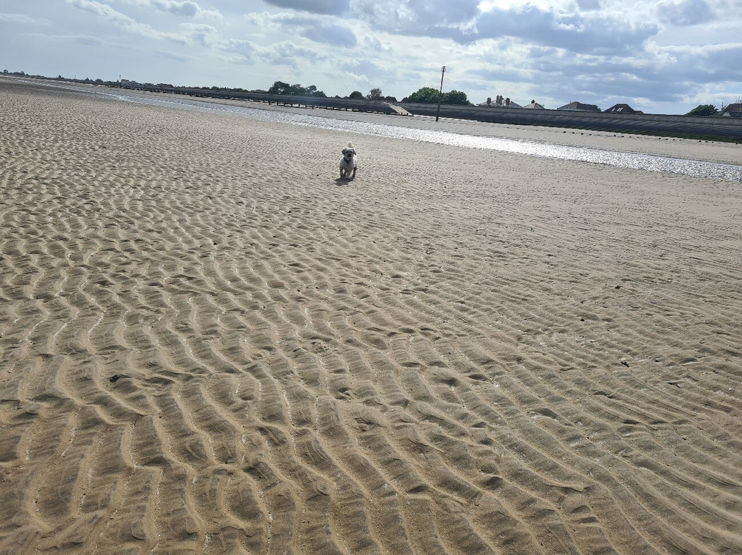 Dymchurch Beach景点图片