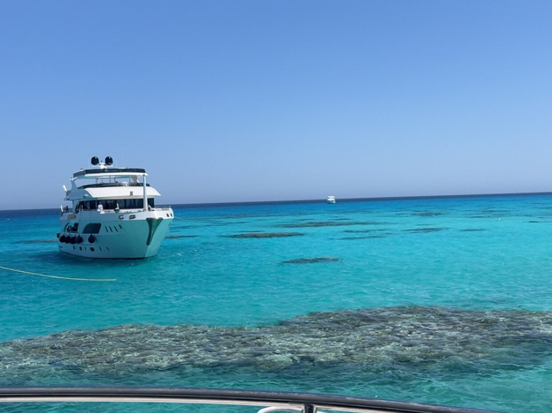 Sinai Vibes Tours And Excursions in Sharm El Sheikh-沙姆沙伊赫必去景点