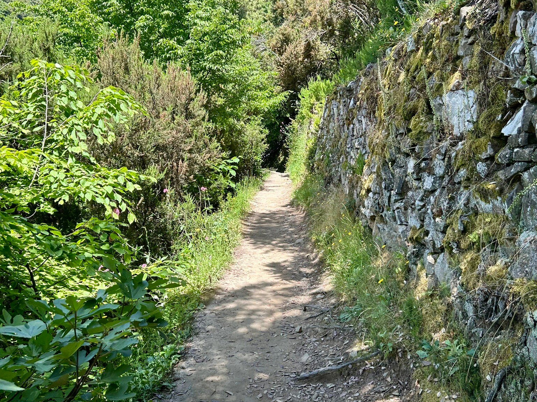 Path N. 6D-Corniglia必去景点