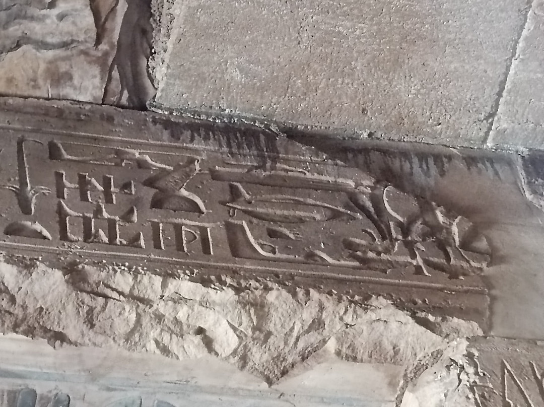Albatross Travel Egypt景点图片