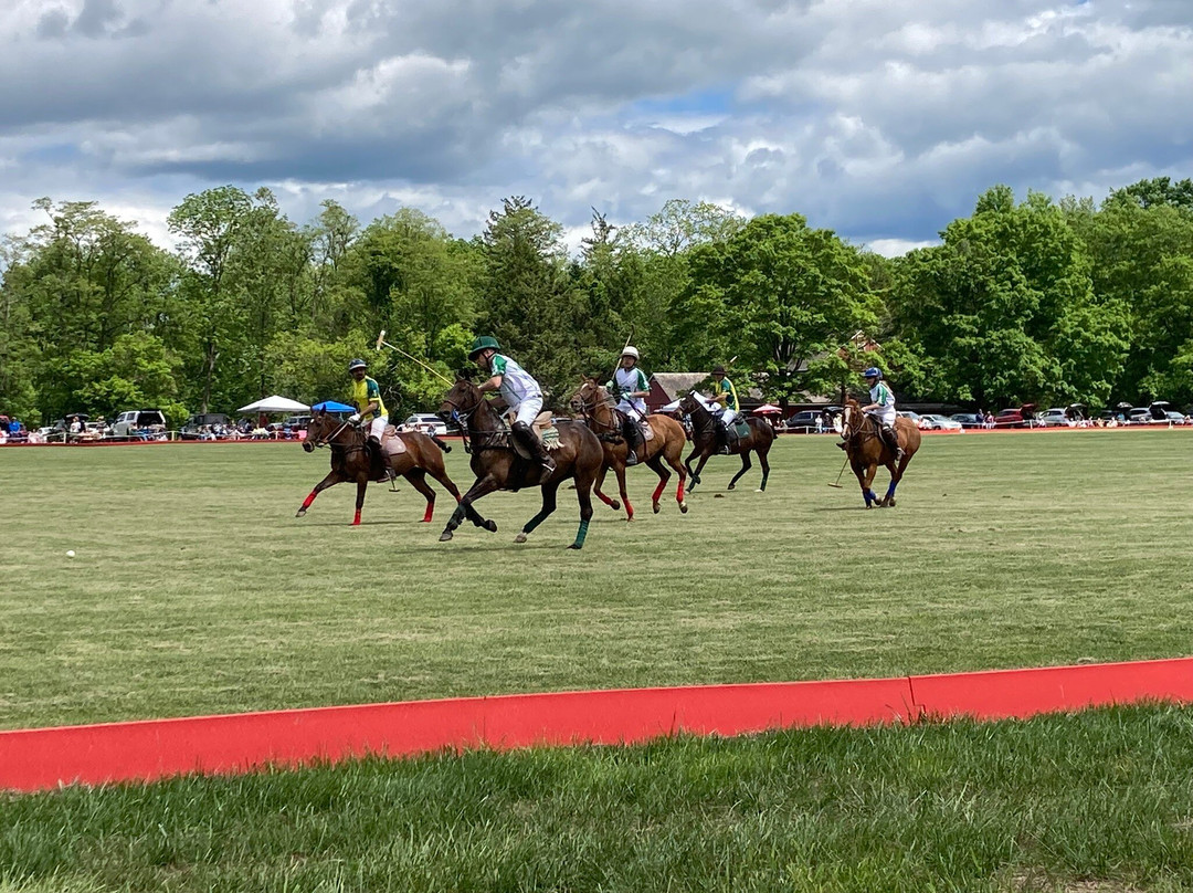 Tinicum Park Polo Club景点图片