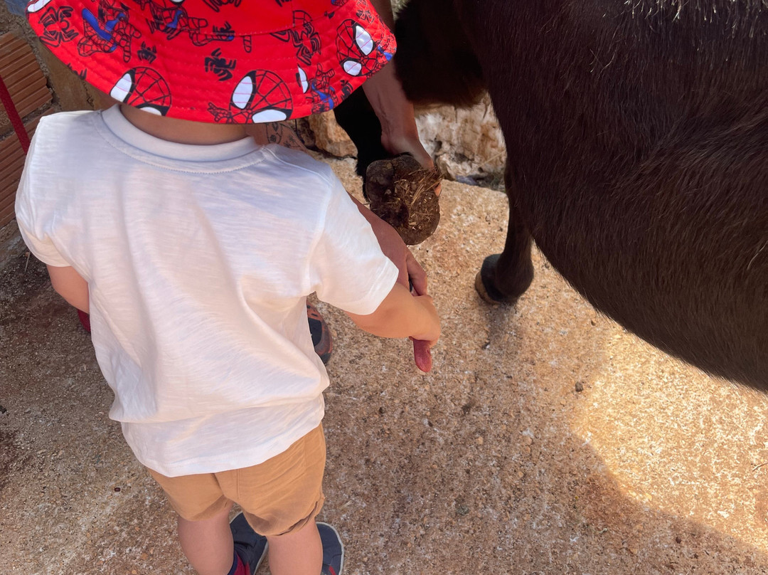 Donkey Trekking Kefalonia-萨米必去景点