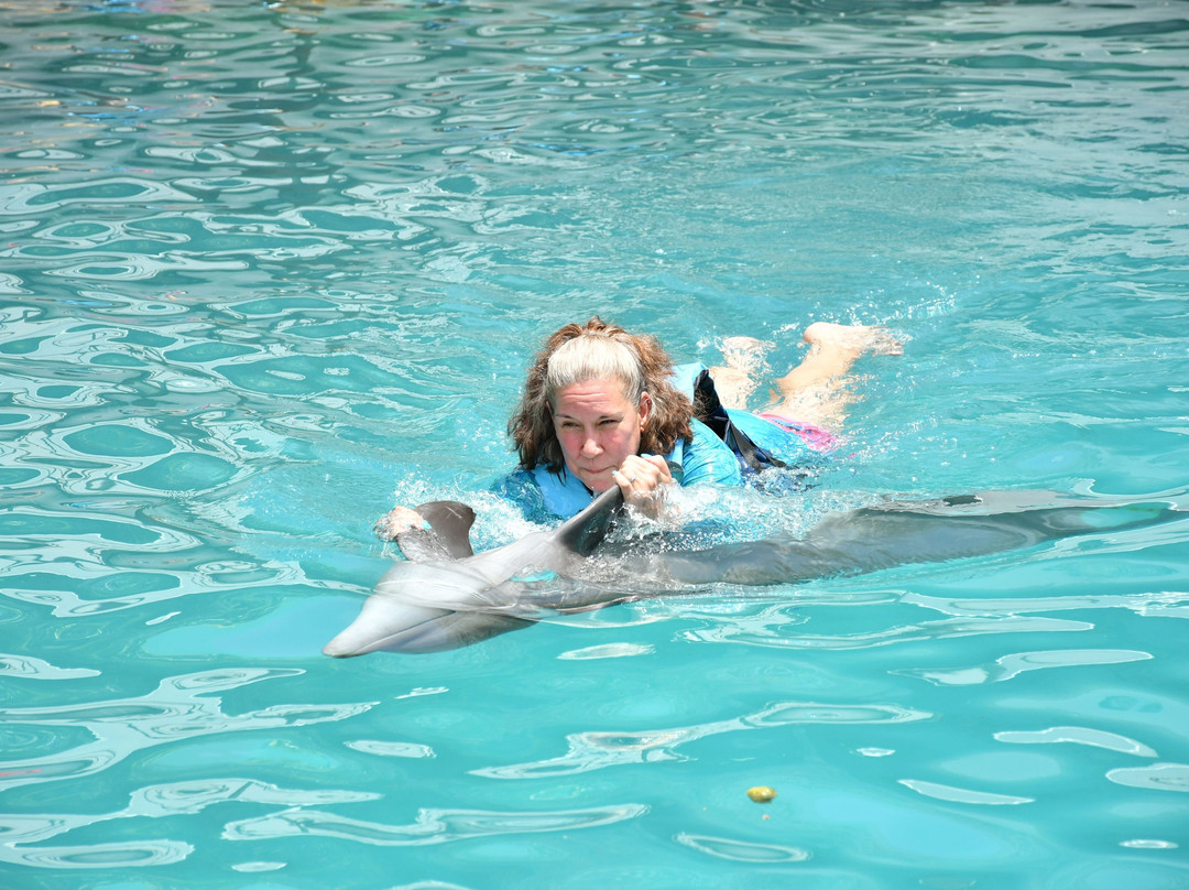 Dolphinaris Riviera Maya Park景点图片