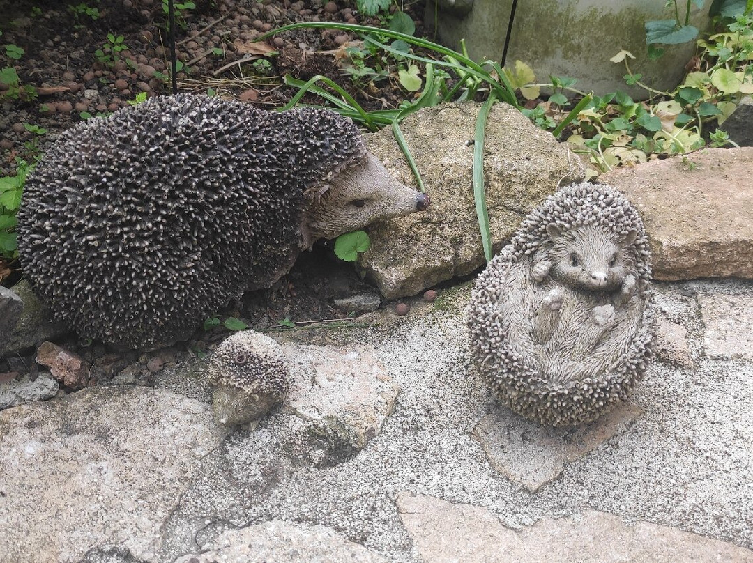 Domaine De La Fee-Licite主图