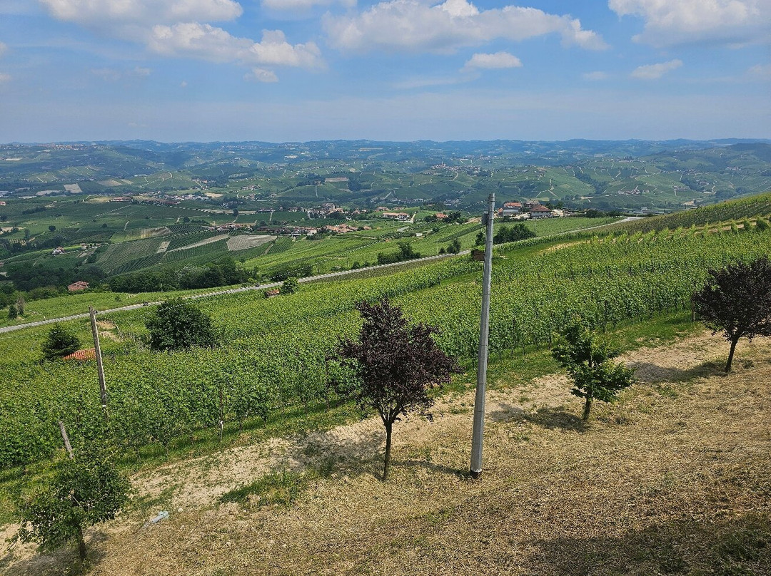Belsit In Langa