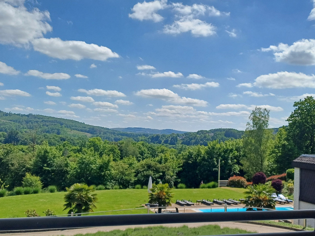 Diehlberg Hotel主图