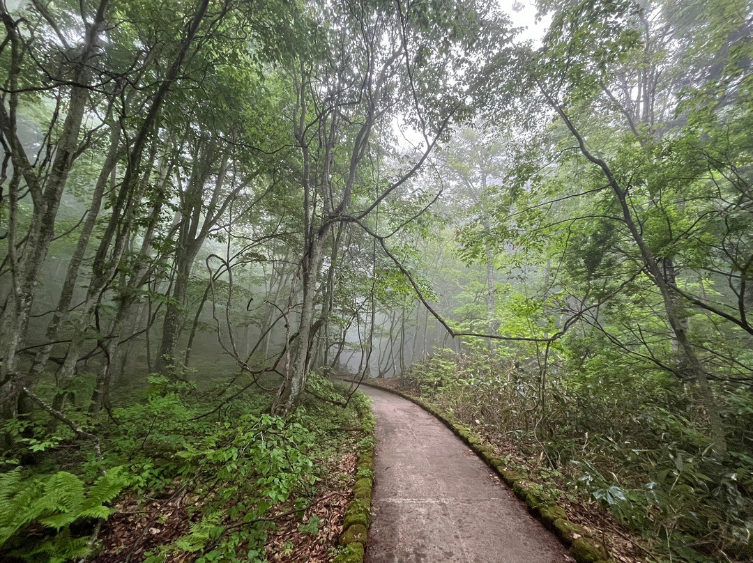 Tsutanuma Pond-十和田市必去景点