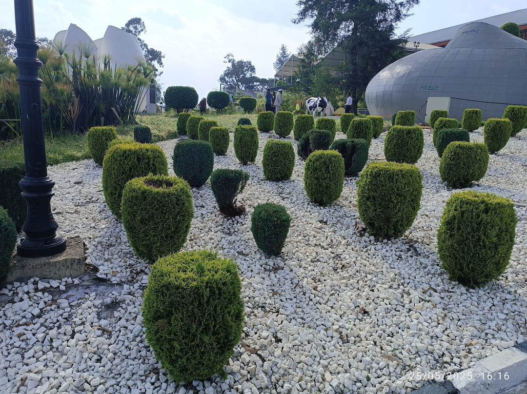Unity Park景点图片