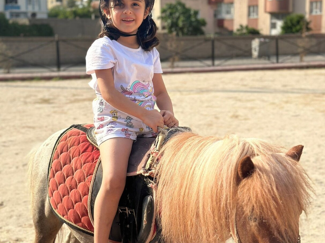 Bahcamatiate Midyat At Ciftligi Ve Mini Hayvanat Bahcesi-Midyat必去景点