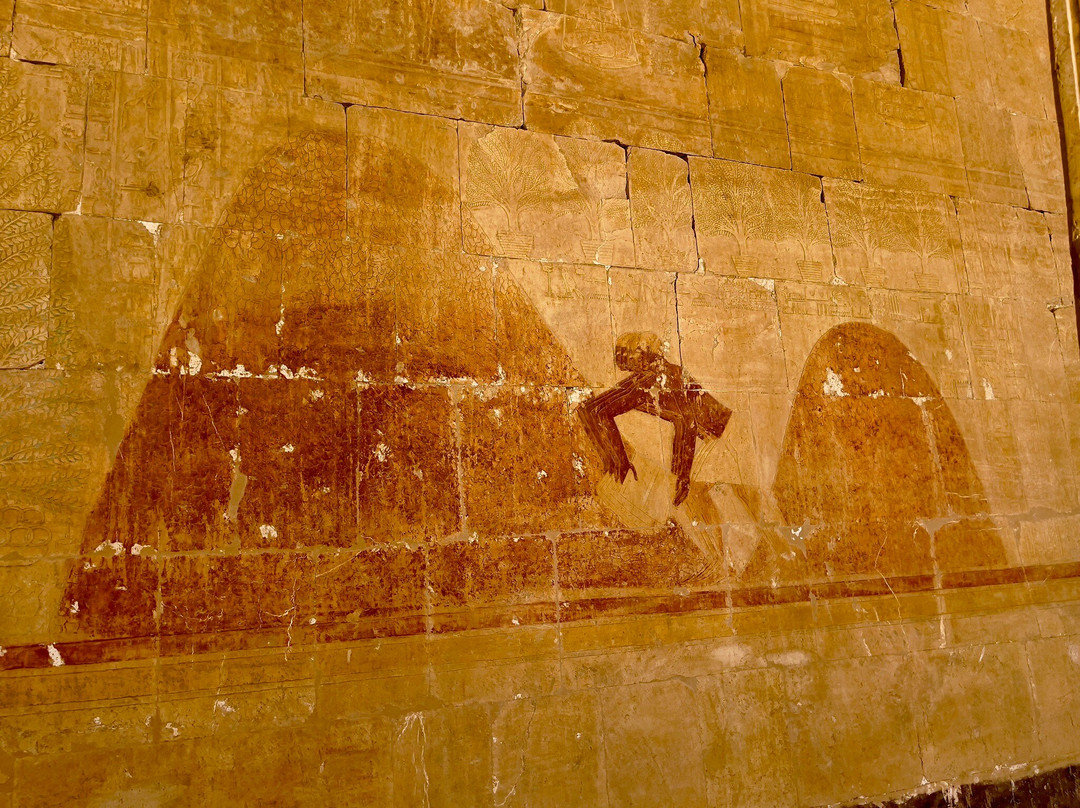 Temple of Hatshepsut-卢克索必去景点