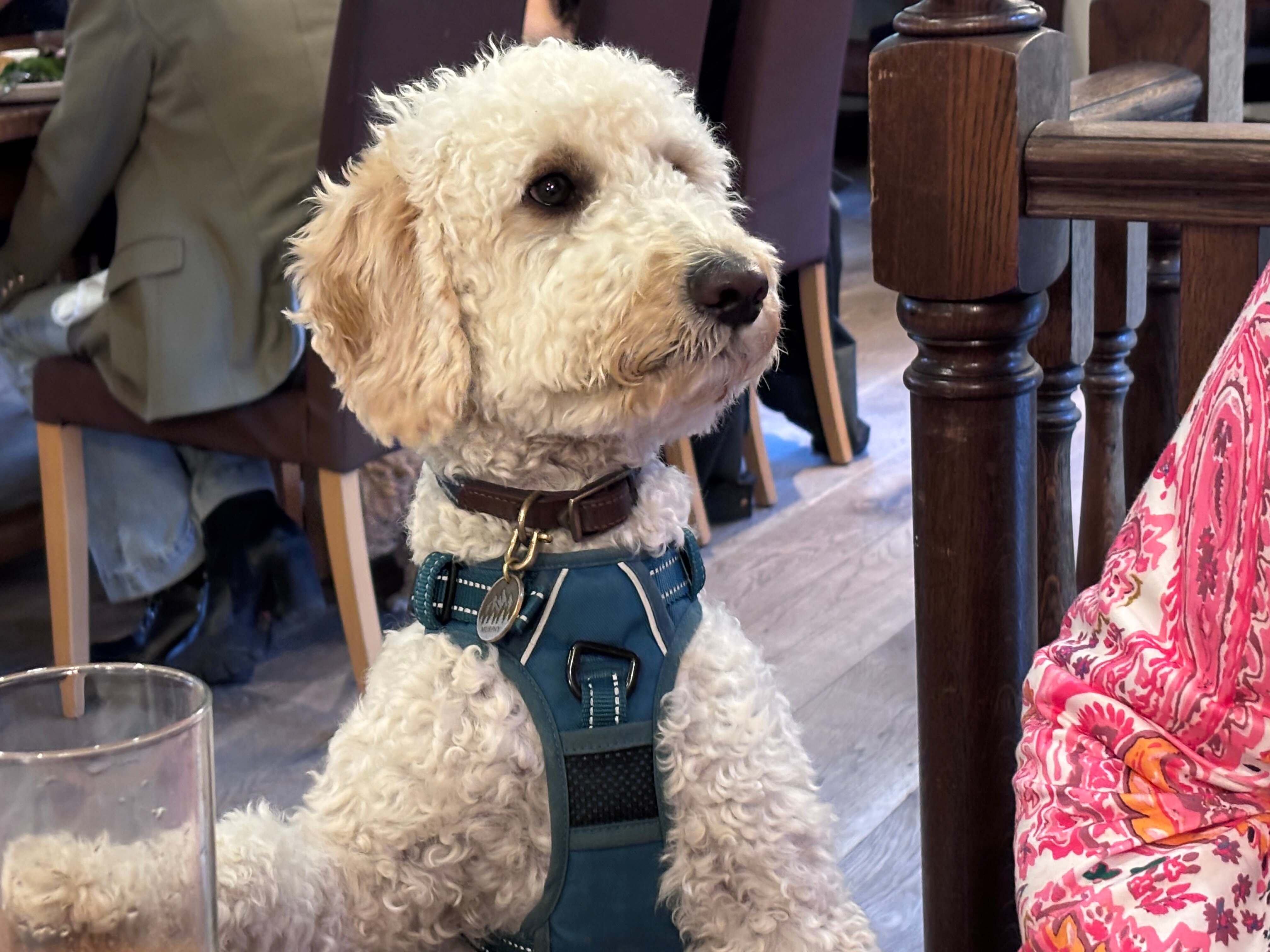 Fox and Hounds Country Hotel-官方