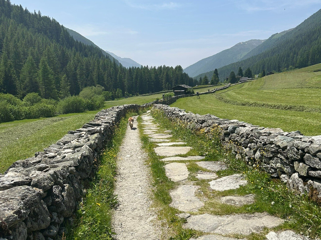 Chiesa di Santo Spirito景点图片