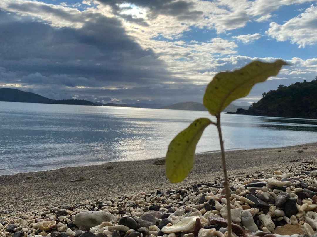Coral Beach and the Beak, Conway National Park-舒特港必去景点