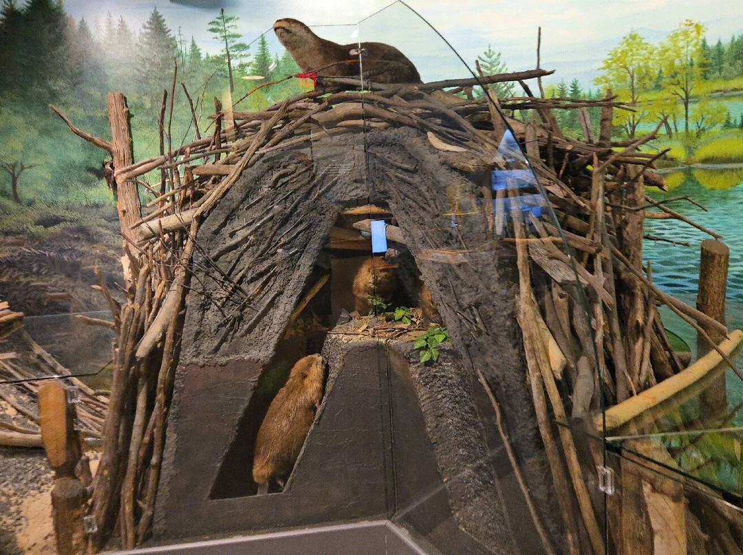 Marquette Regional History Center-Marquette必去景点