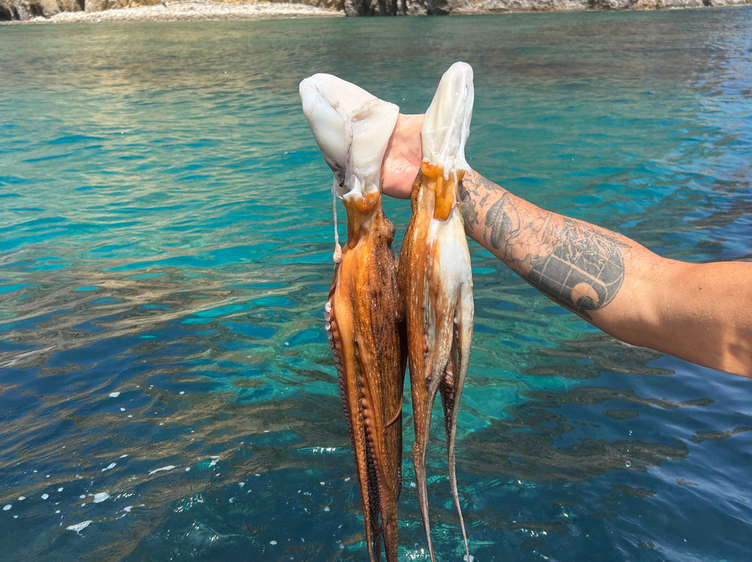 Oceano Ponza Experience - Cosmo Dies-Ponza必去景点