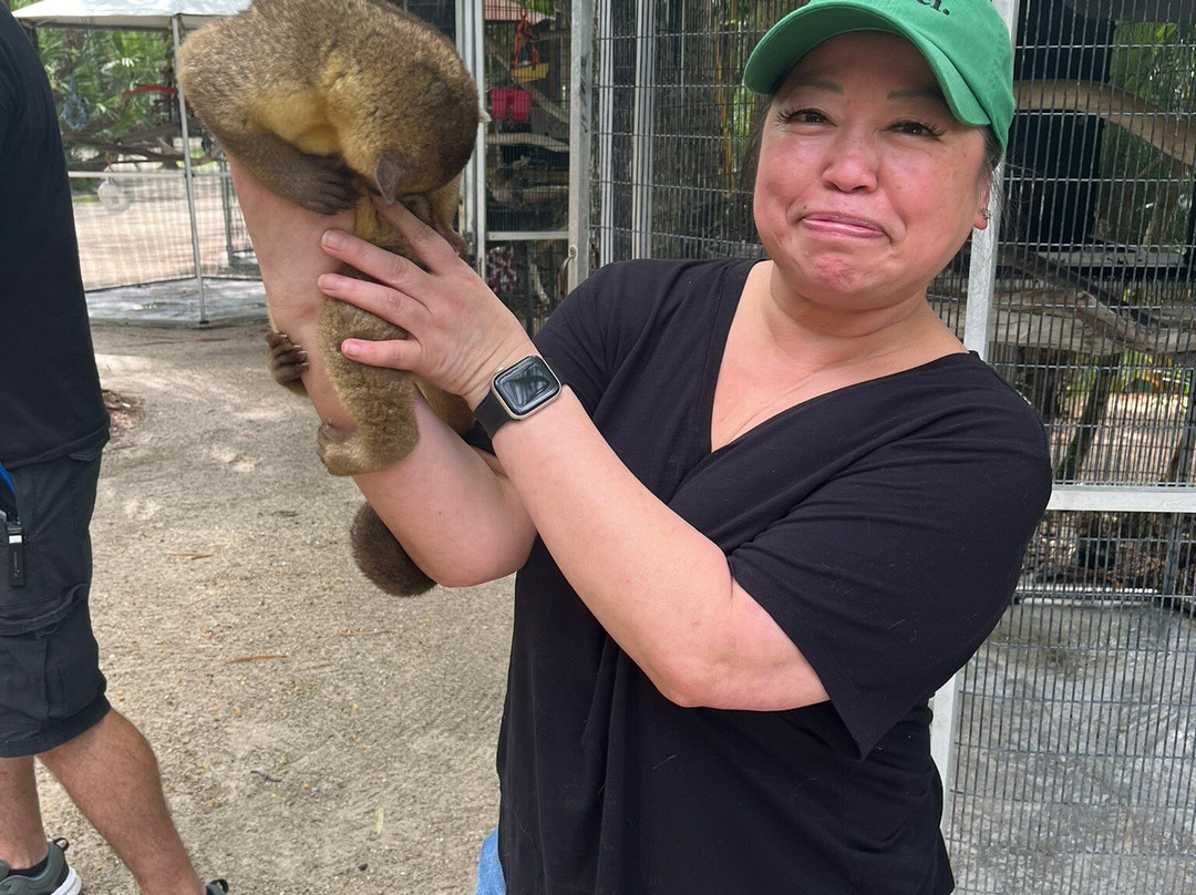 McCarthy's Wildlife Sanctuary景点图片