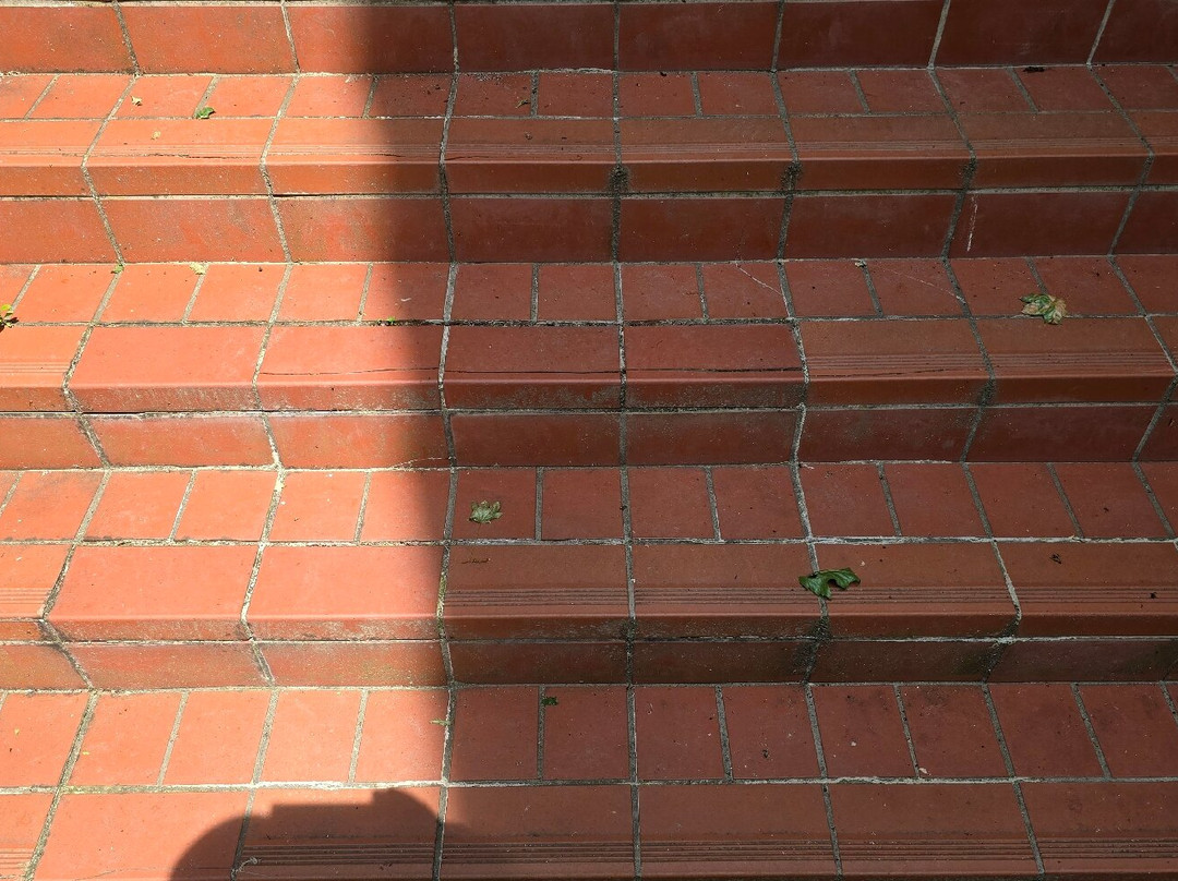 Hotel Schloss Storkau主图