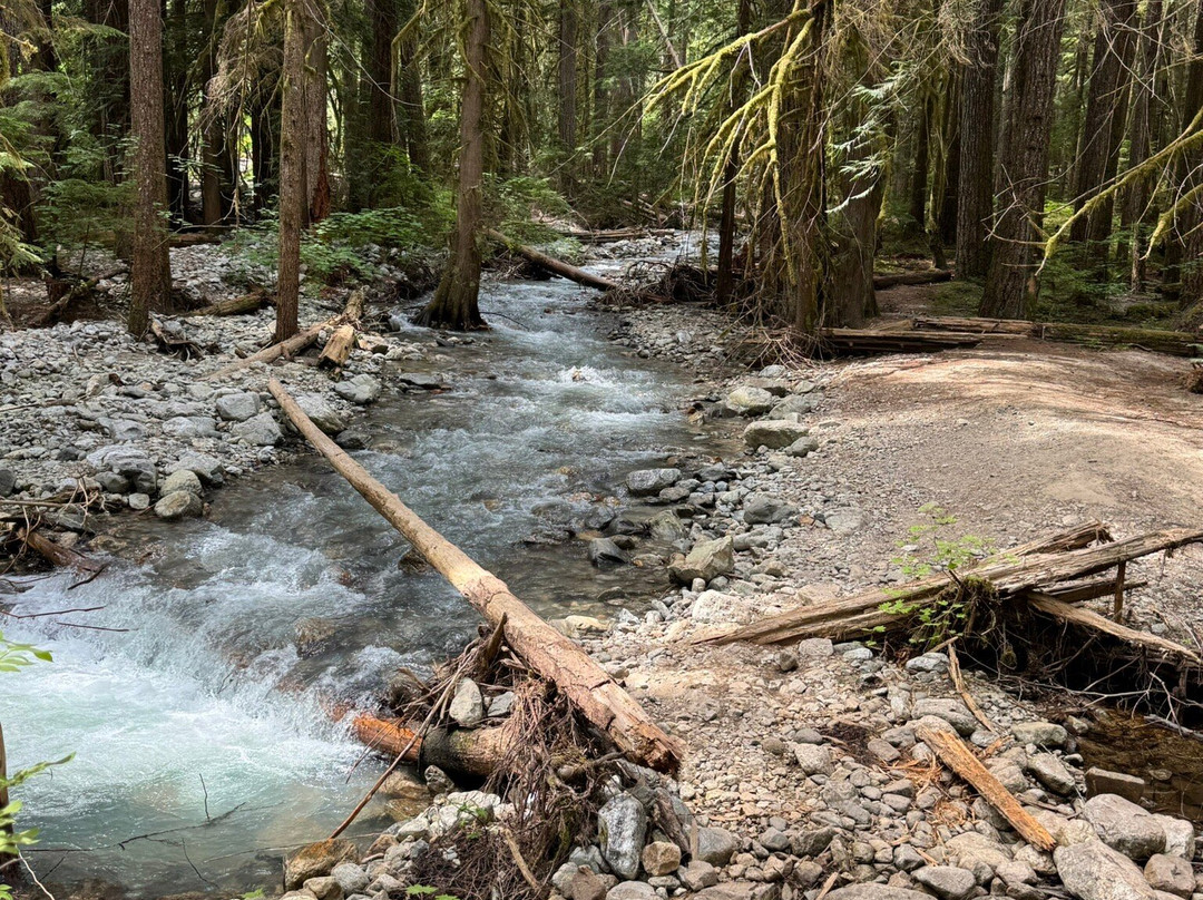 North Cascades National Park景点图片