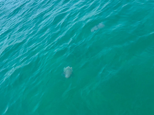 Charter Salou Boat Rental-萨洛必去景点