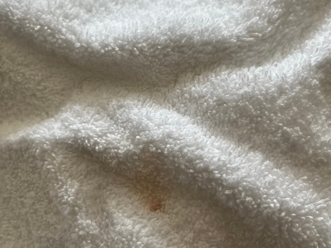 Holiday Inn Express & Suites Grand Blanc By IHG主图