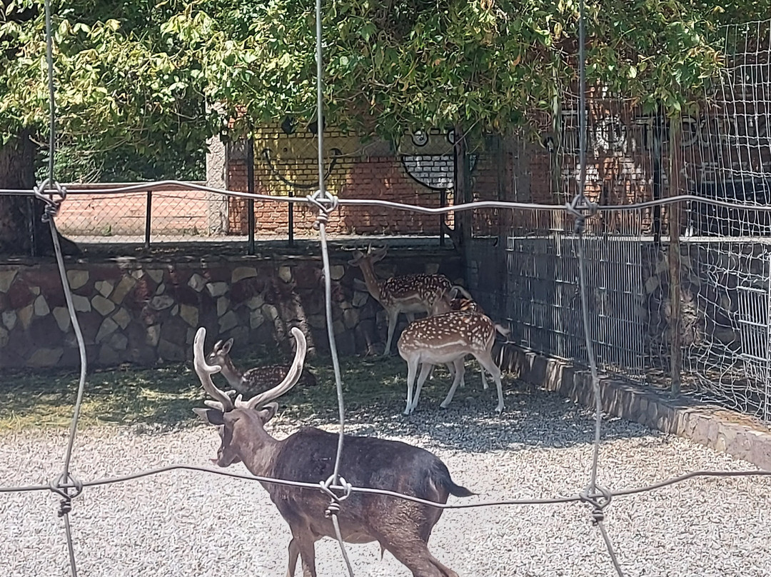Skopje ZOO-斯科普里必去景点
