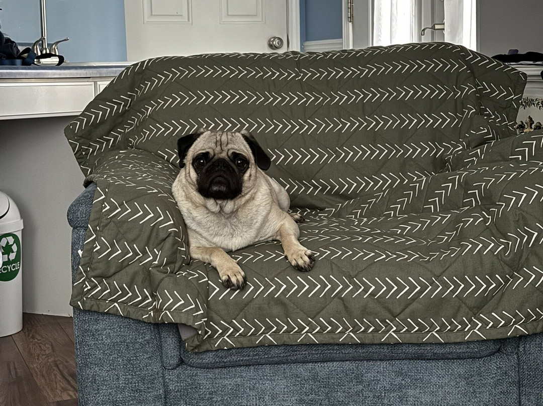 Garden Grove Inn: Bed & Breakfast主图