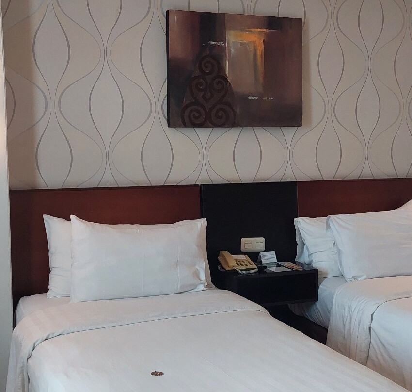 阿斯顿丹中城大酒店主图