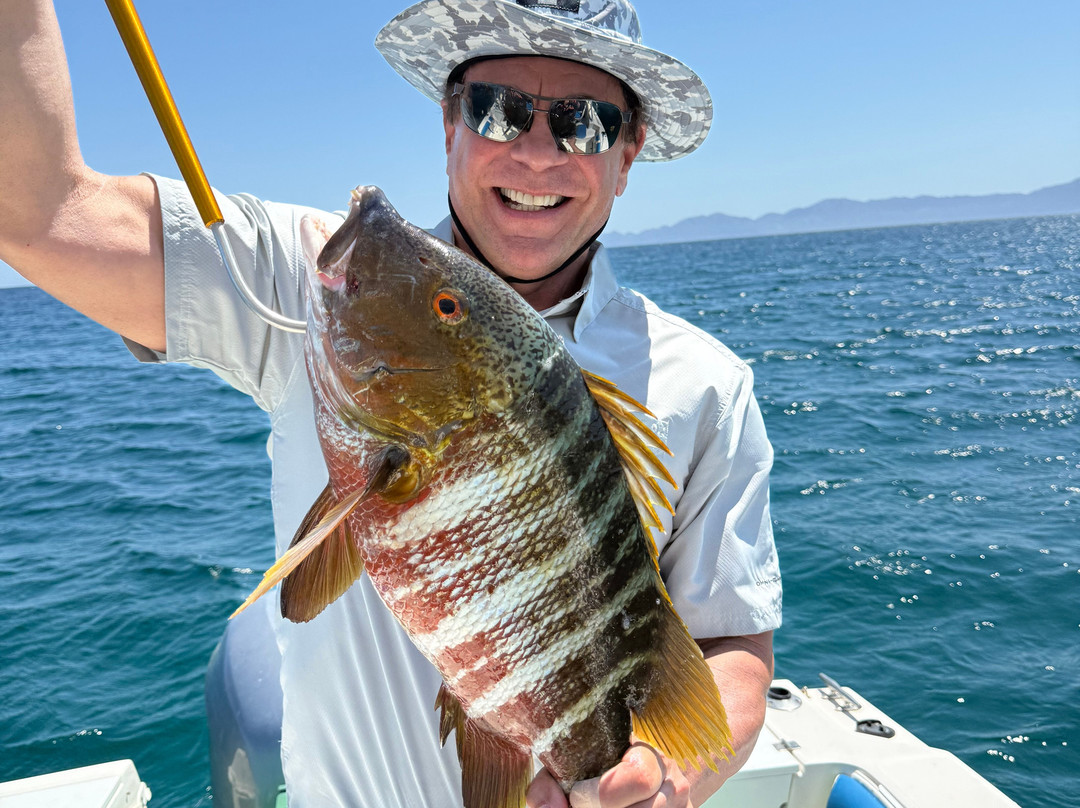 Baja Pirates Fishing Fleet-拉巴斯必去景点
