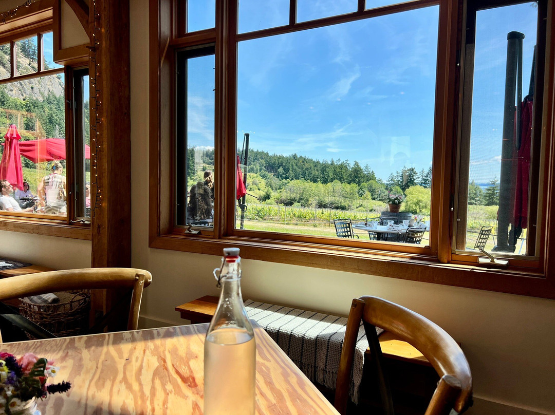 Sage Hayward Vineyards