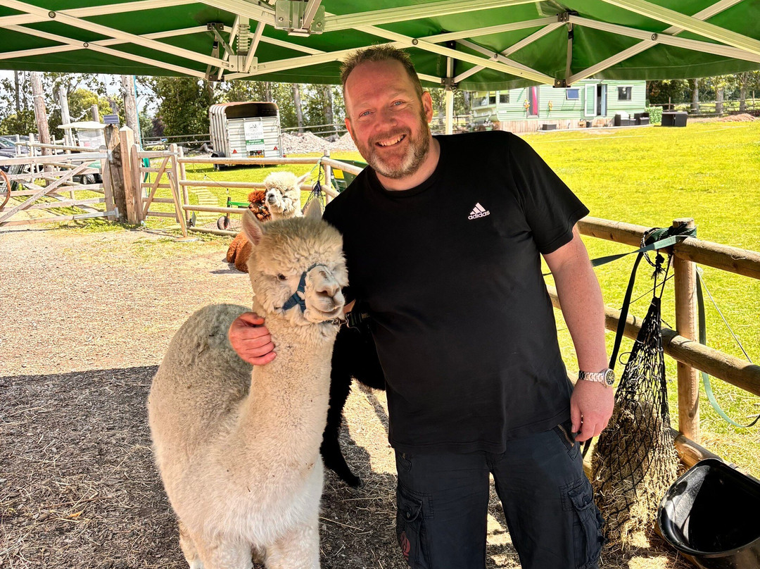 Woodlands Alpaca Farm-沃灵顿必去景点