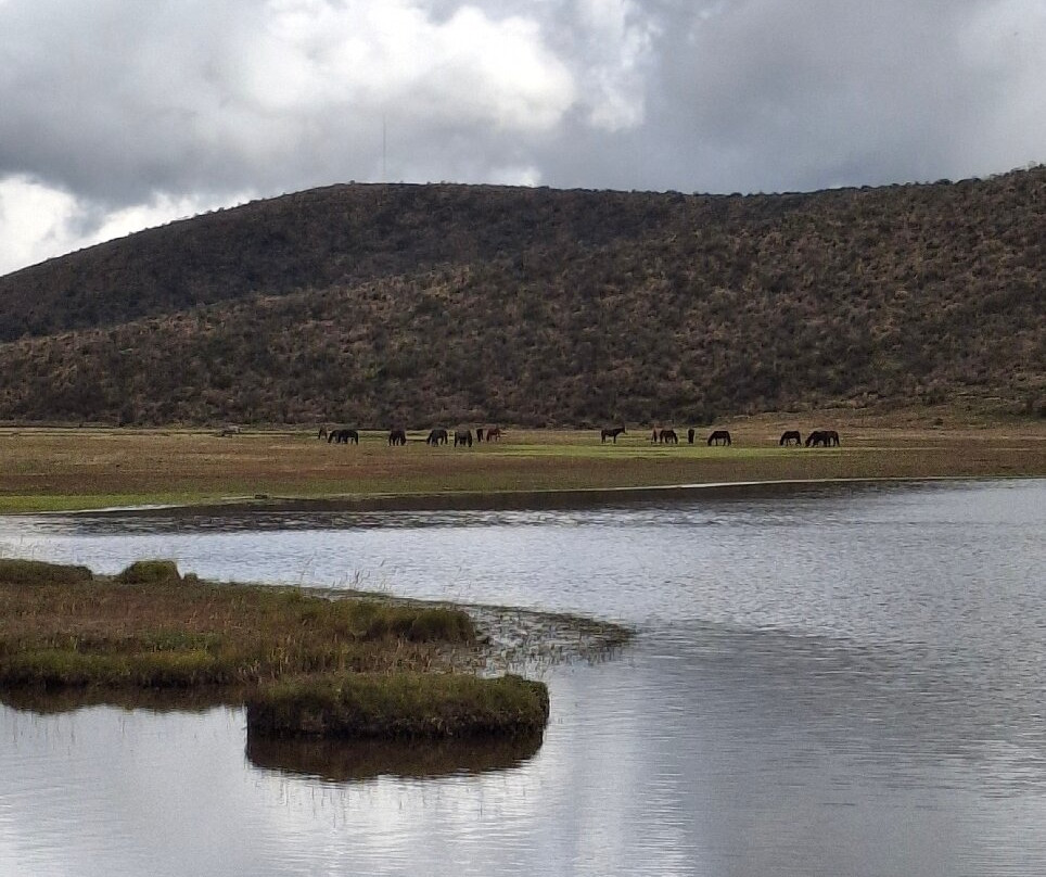 Laguna de Limpiopungo-拉塔昆加必去景点
