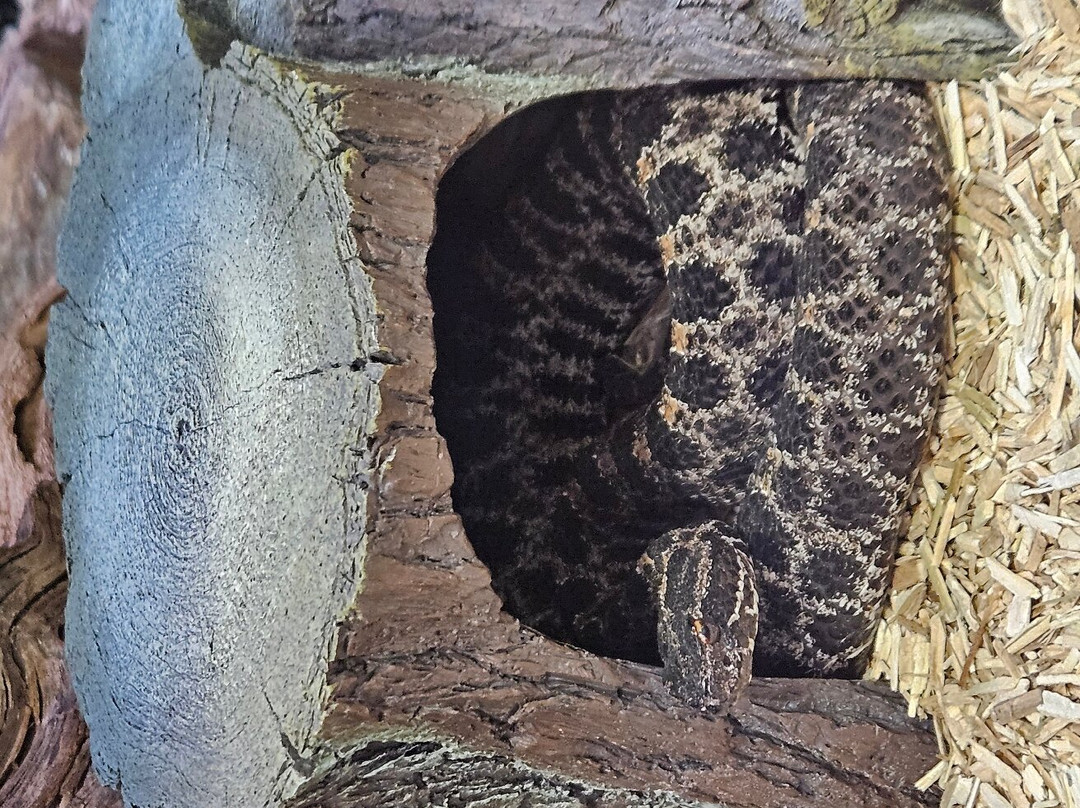 Busch Wildlife Sanctuary at Abramson & Schlaggar Reserve-朱庇特必去景点