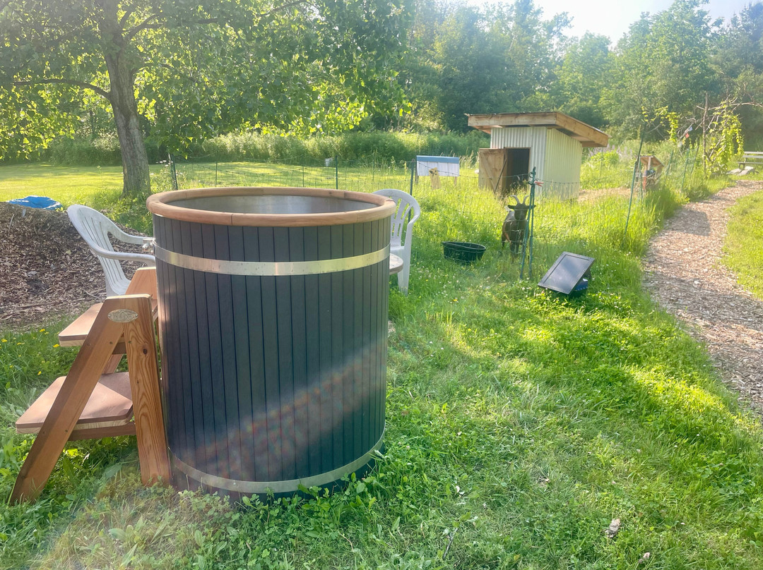 Twin Wolves Healing Arts