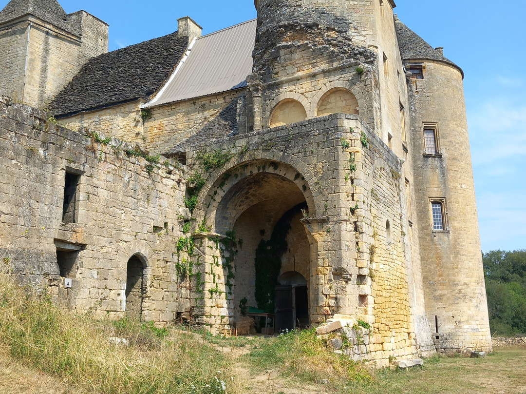 Château de Salignac-Salignac-Eyvigues必去景点
