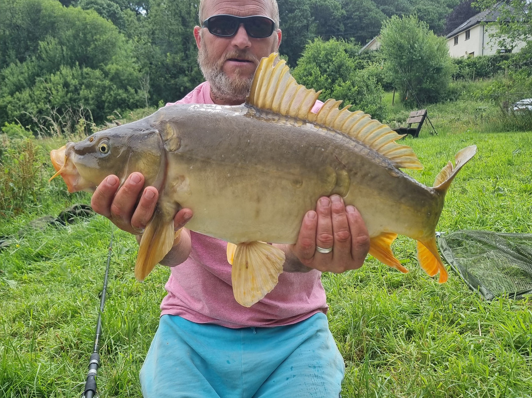 Bellbrook Valley Trout Fishery-Oakford必去景点