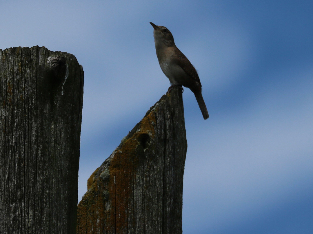Aztalan State Park-Lake Mills必去景点