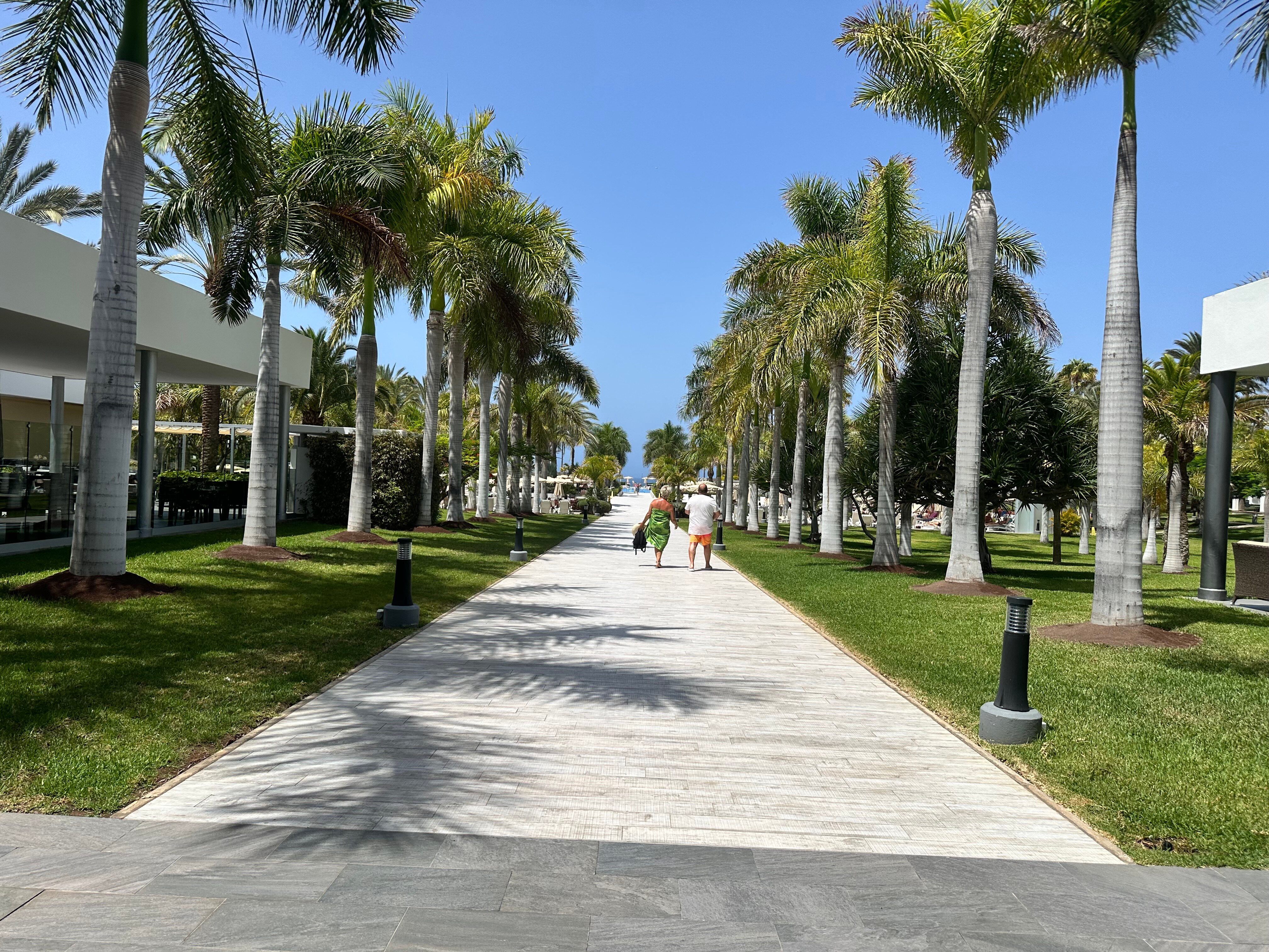 Hotel Riu Palace Meloneras-泳池
