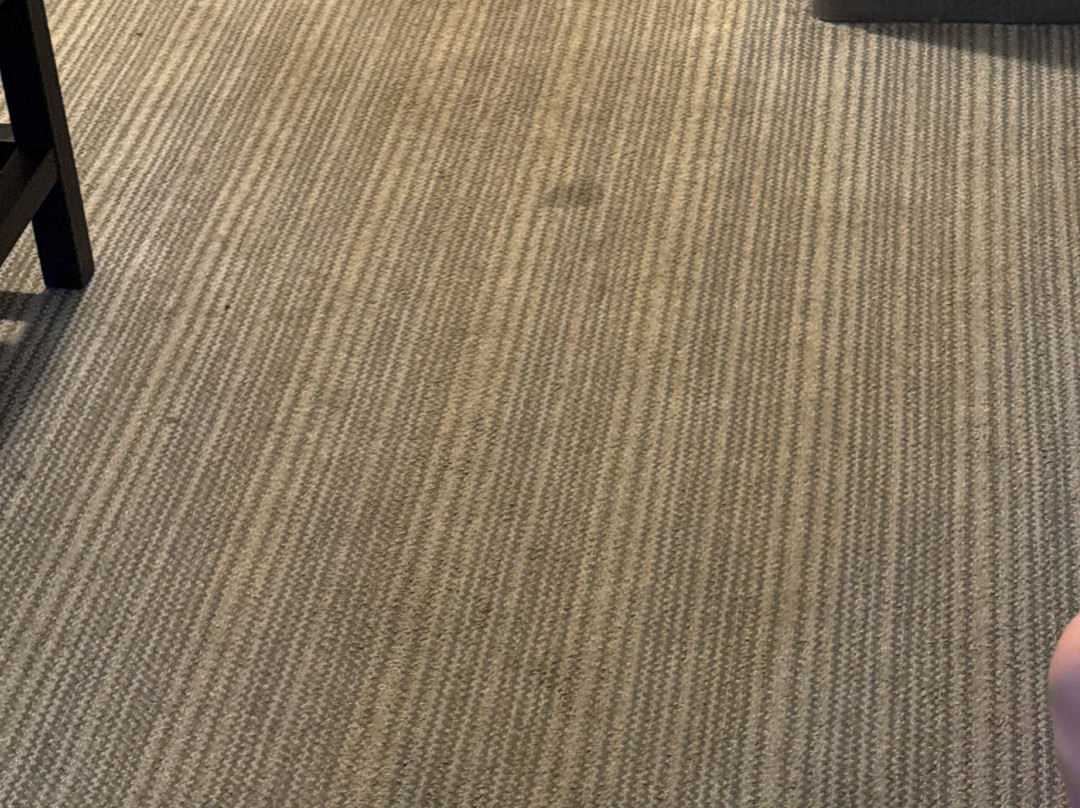 舒适套房酒店-伦伯顿北部主图