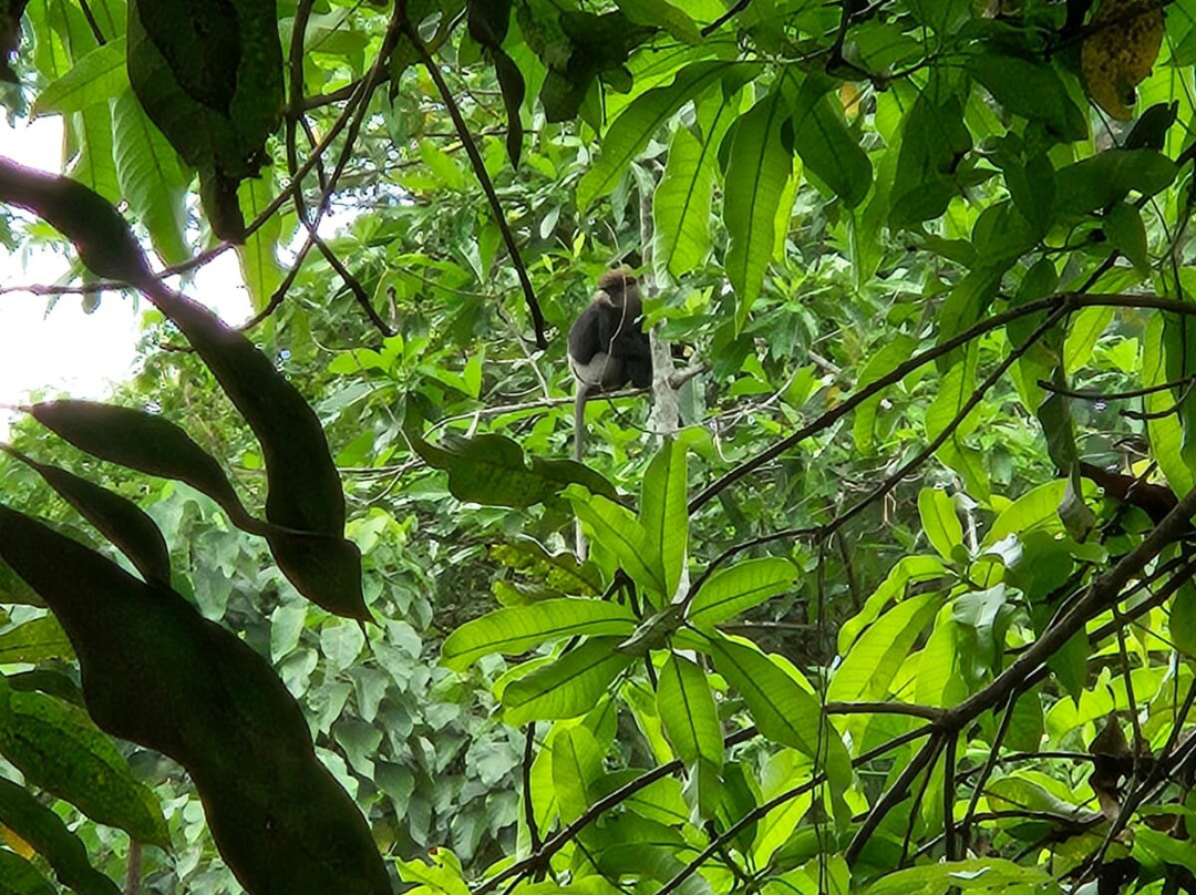 The Halcyon Galle主图