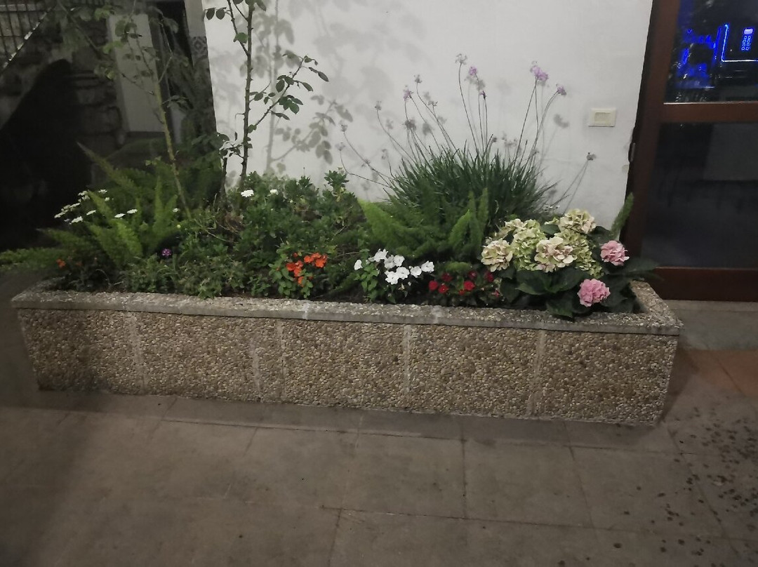 Hotel Rio Claro主图