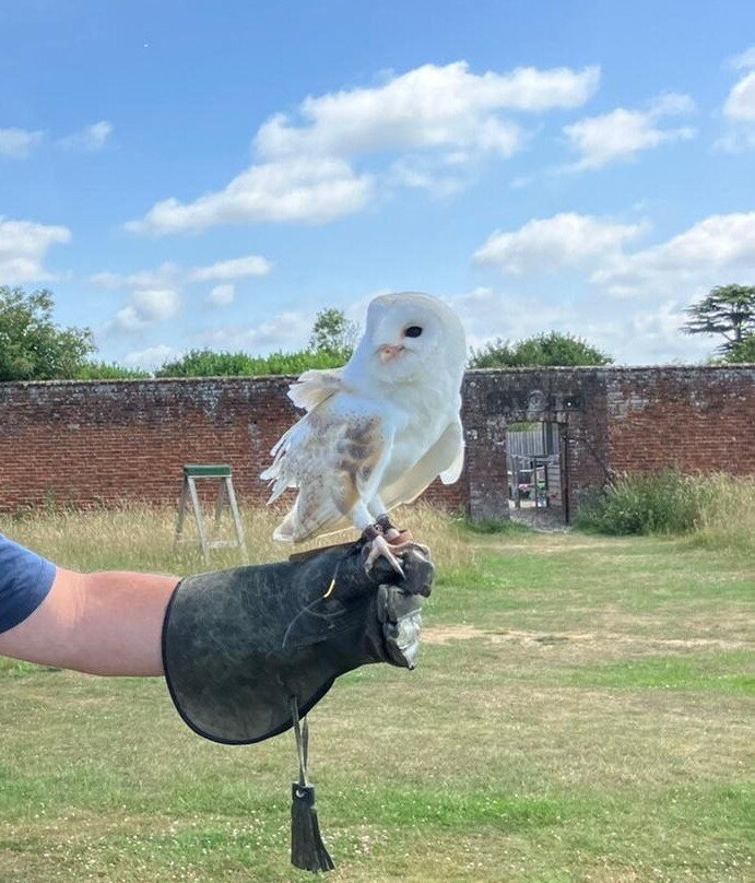 The Hawking Centre-Boughton Lees必去景点