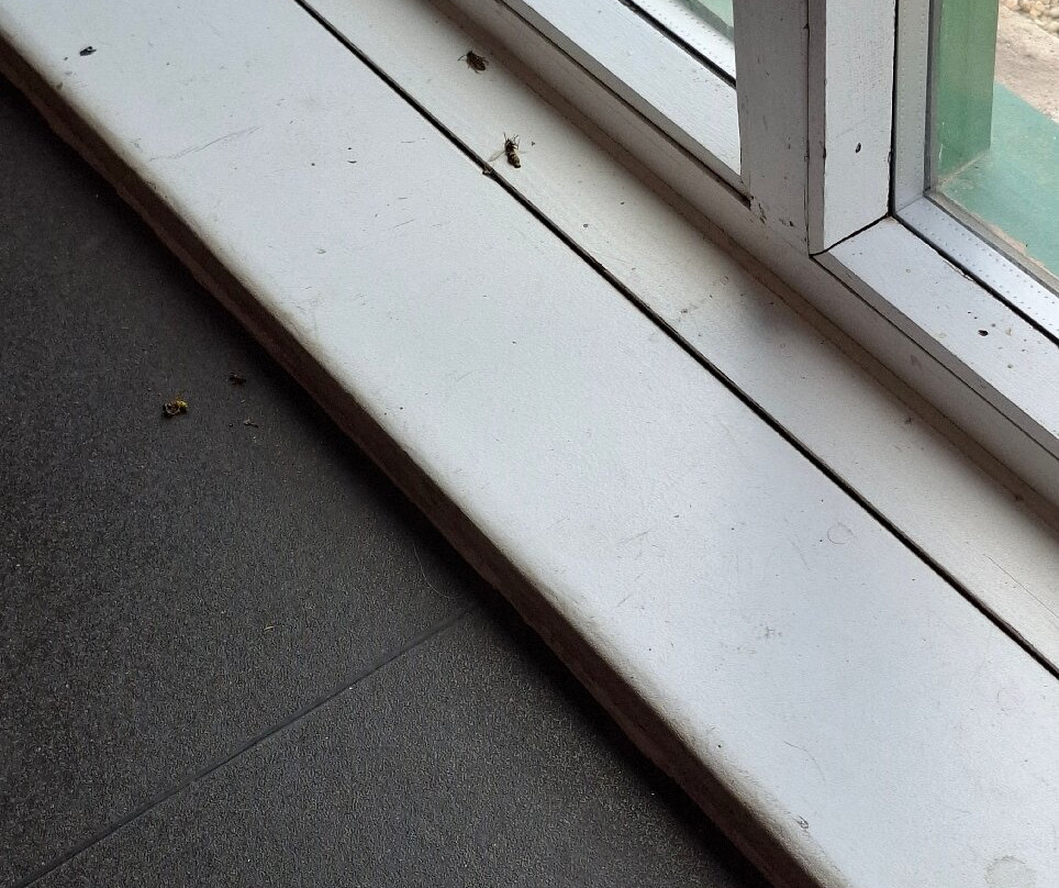 Hainault Forest Country Park-Chigwell必去景点