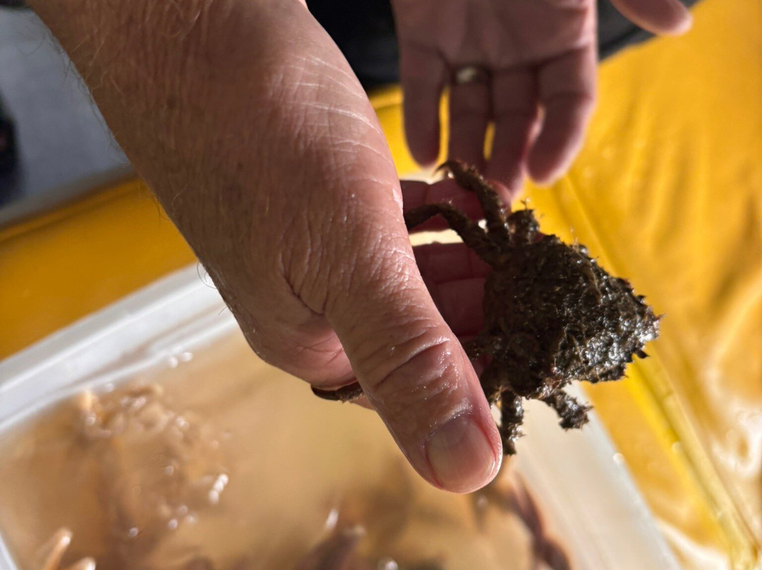 Diver Ed's Dive-In Theater-巴港必去景点