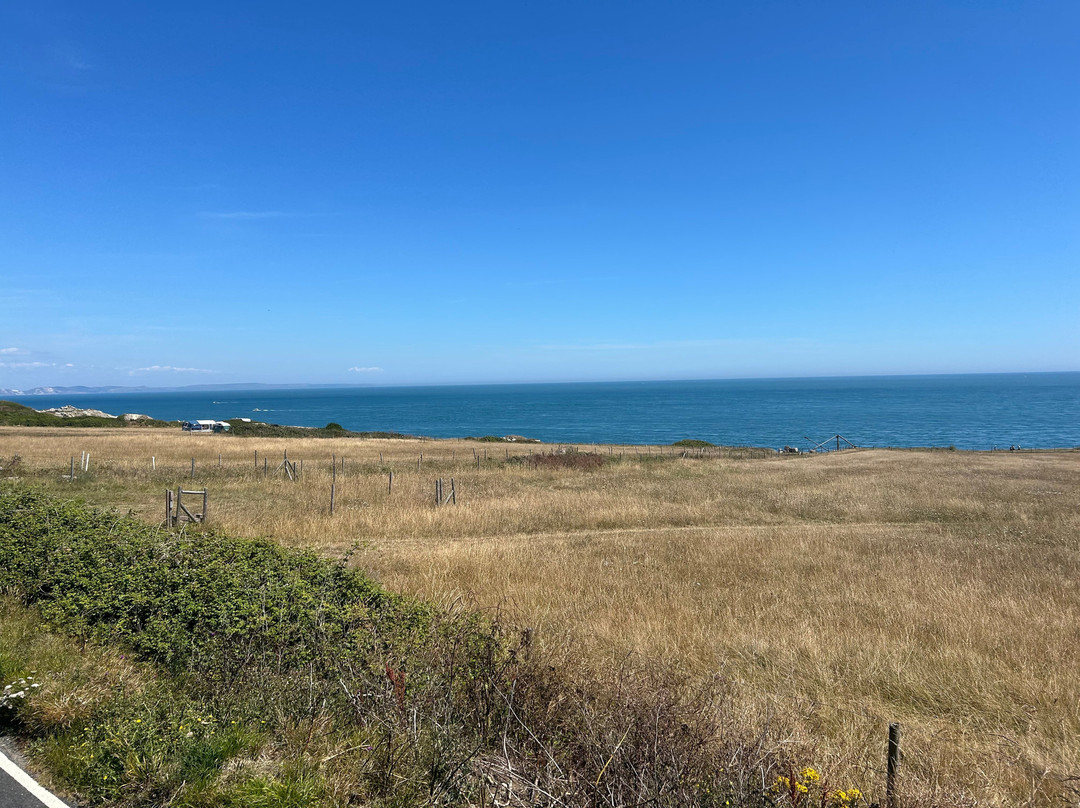 Driftwood Bed & Breakfast主图